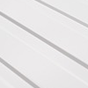 RAL 9002