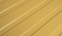 RAL 1002