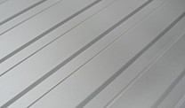RAL 9006