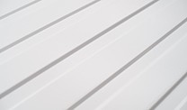 RAL 9010
